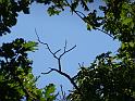 07-08-2010 12h48 53